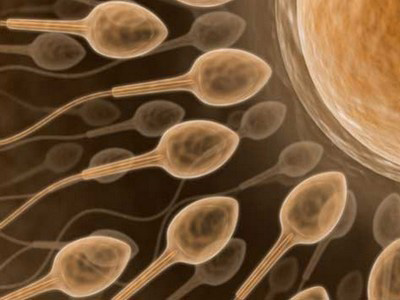 Mách nhỏ bạn một số bí quyết để sinh con trai