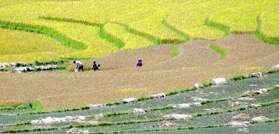 Nghỉ lễ dài ngày, Sapa quá tải khách du lịch