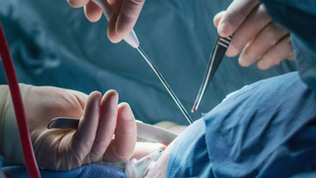 Việt kiều Úc thoát tội dâm ô nhờ xài... Việt kiều Úc thoát tội dâm ô nhờ xài...