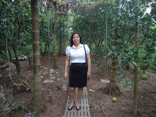 Bán nhà vườn lý tưởng, chính chủ ở Quốc Oai, Hà Nội Bán nhà vườn lý tưởng, chính chủ ở Quốc Oai, Hà Nội