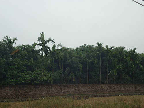 Bán nhà vườn lý tưởng, chính chủ ở Quốc Oai, Hà Nội Bán nhà vườn lý tưởng, chính chủ ở Quốc Oai, Hà Nội