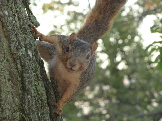 Ngắm nhìn những loại tiền kỳ lạ nhất thế giới Ngắm nhìn những loại tiền kỳ lạ nhất thế giới