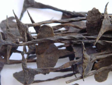 Ngắm nhìn những loại tiền kỳ lạ nhất thế giới Ngắm nhìn những loại tiền kỳ lạ nhất thế giới