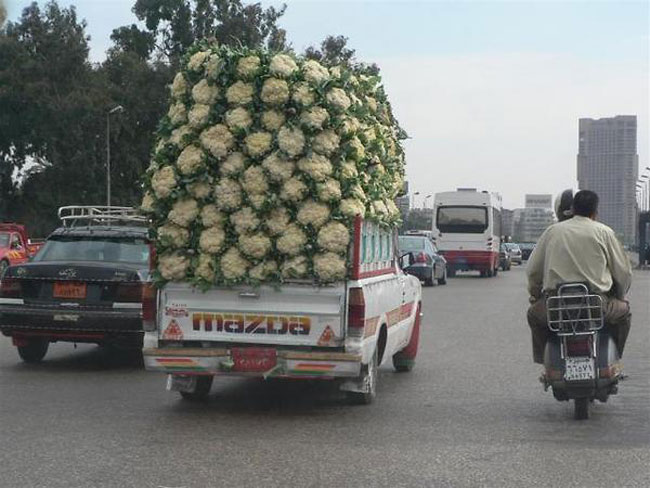 Những thói quen gây ức chế của các tài xế