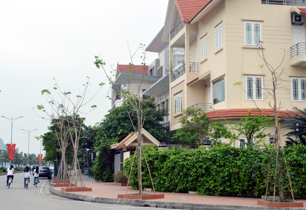 Chiêm ngưỡng biệt thự xanh mát của đại gia Hạ Long