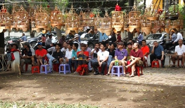 Dân chơi Hà Thành 