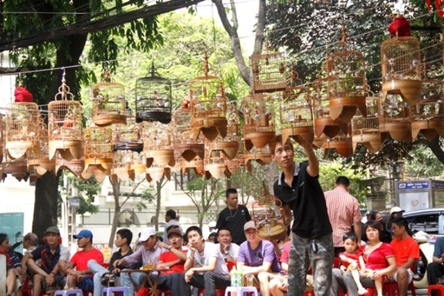 Dân chơi Hà Thành 