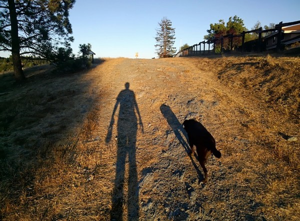 15 bức hình thể hiện Google Glass vượt trội so với máy ảnh thường