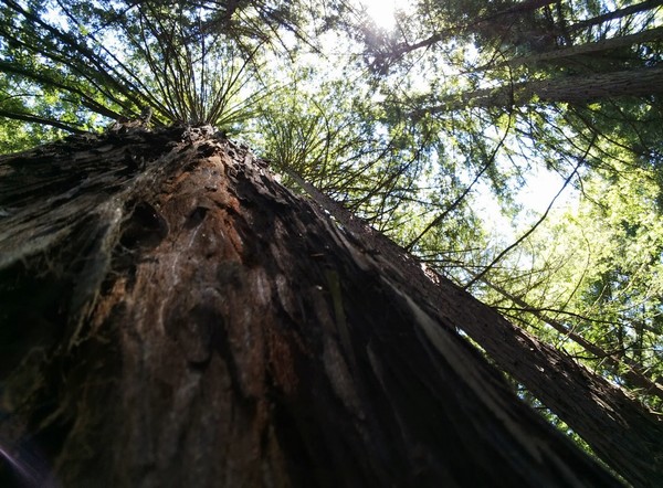 15 bức hình thể hiện Google Glass vượt trội so với máy ảnh thường