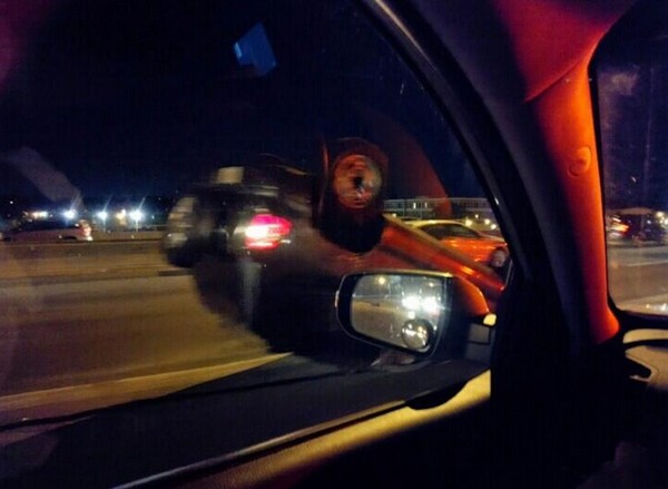 15 bức hình thể hiện Google Glass vượt trội so với máy ảnh thường