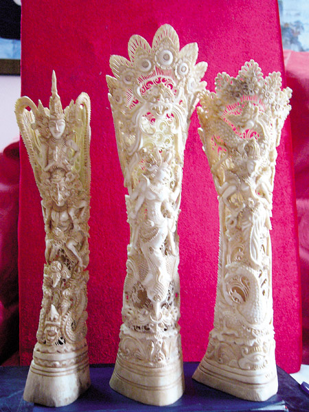 Đại gia trấn giữ uy quyền bằng răng nanh voi đực Đại gia trấn giữ uy quyền bằng răng nanh voi đực