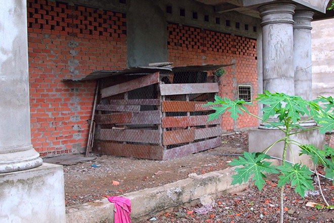 Biệt thự tiền tỷ thành nhà nuôi yến, chuồng gà giữa Sài Gòn