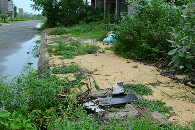 Biệt thự tiền tỷ thành nhà nuôi yến, chuồng gà giữa Sài Gòn