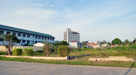 Xem xét trách nhiệm tập thể, cá nhân trong vụ “ăn đất vàng”