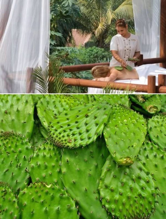 10 dịch vụ massage kỳ lạ nhất thế giới