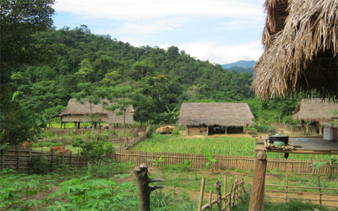 Hành trình khai quật bào thai và sự đồi bại của 2 anh em