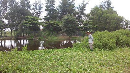 Nghi án hiếp dâm, giết bé gái 10 tuổi