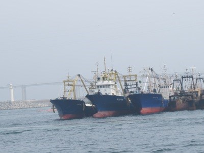 Đại gia xin vay ngàn tỷ mua tàu cá nát: Xin ưu đãi quá đà?