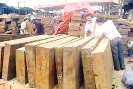 Minh “sâm” gây dựng đế chế tội phạm như thế nào? Minh “sâm” gây dựng đế chế tội phạm như thế nào?