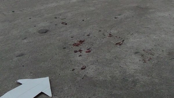 Truy sát như phim hành động, một người bị đâm chết Truy sát như phim hành động, một người bị đâm chết