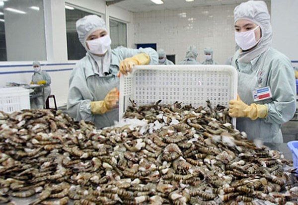 Những loại thuỷ sản Việt Nam “đốn tim” dân Mỹ, Nhật