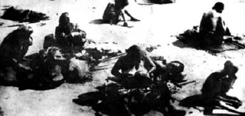 Nạn đói ở Thái Bình: Đãi phân ngựa tìm hạt ngô để ăn