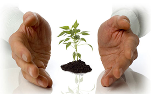 Vì sao 12 nhà vô địch Olympia du học không trở về?