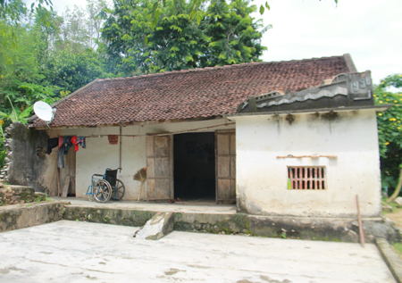 “Sao con bóp chân mãi, mà bố vẫn không đi được ?”