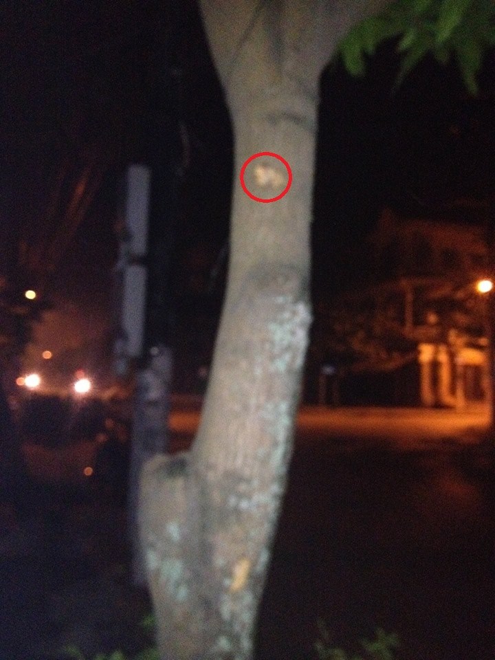 Vụ nổ súng kinh hoàng trong đêm gây chấn động xứ Nghệ