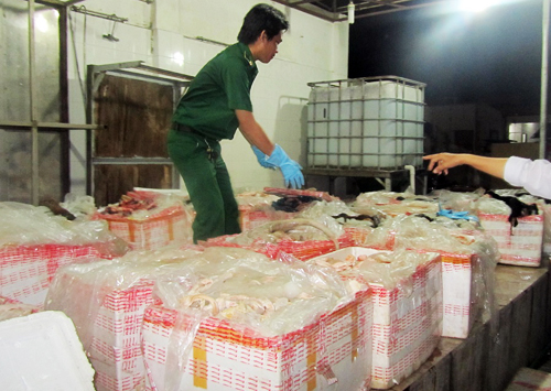 1,6 tấn phụ phẩm trâu, bò thối tuồn vào TP HCM