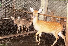 Sơn Hồng (Hà tĩnh): Chuyển biến mạnh mẽ từ một xã vùng biên