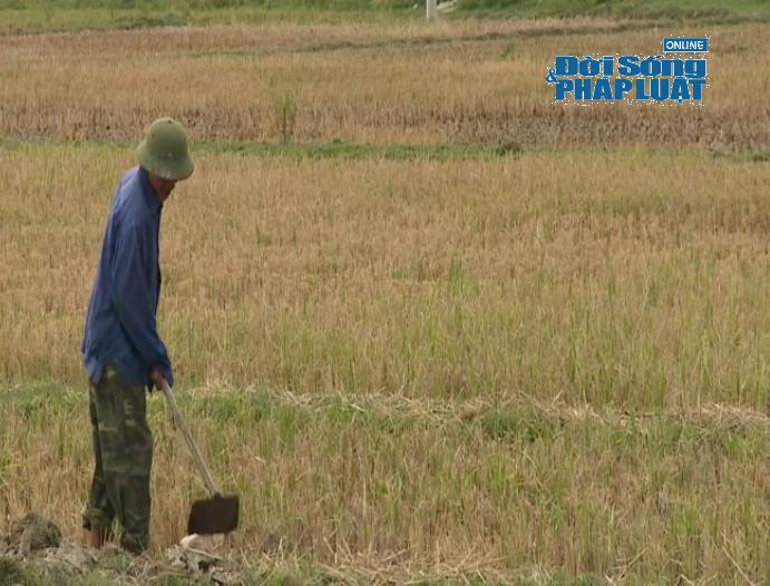 Hà Tĩnh: Nguy cơ thiếu nước sản xuất do nắng hạn kéo dài