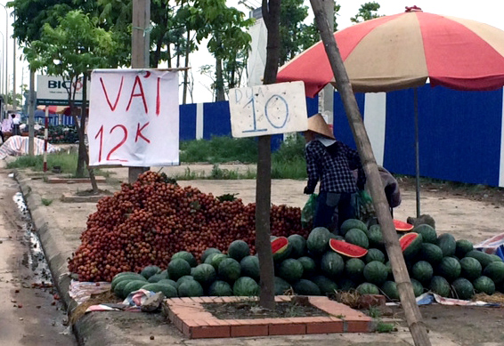 Được mùa, hoa quả rẻ ngập phố