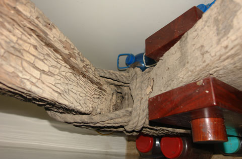 Khúc gỗ 700 năm dưới đáy sông, tiền tỷ không dám bán Khúc gỗ 700 năm dưới đáy sông, tiền tỷ không dám bán