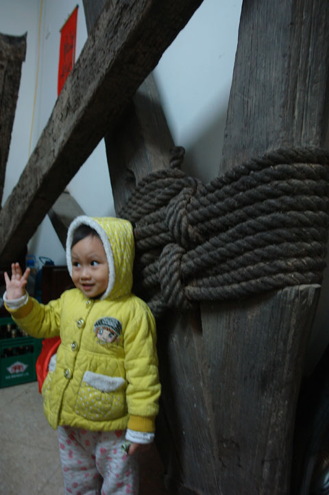 Khúc gỗ 700 năm dưới đáy sông, tiền tỷ không dám bán Khúc gỗ 700 năm dưới đáy sông, tiền tỷ không dám bán