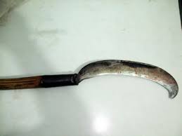 19 năm trốn nã vẫn không thoát