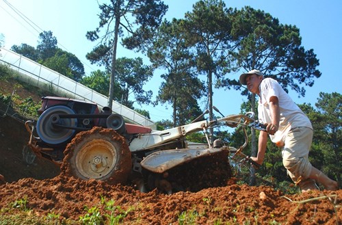 Ngắm ruộng bậc thang trong lòng thành phố Đà Lạt