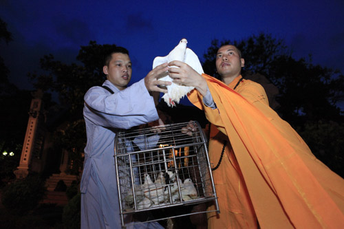 Xúc động lễ cầu siêu cho trẻ tử vong vì dịch sởi Xúc động lễ cầu siêu cho trẻ tử vong vì dịch sởi