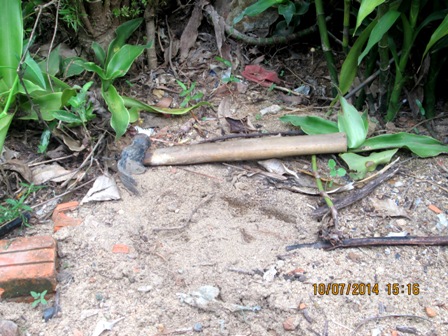 Truy bắt nam thanh niên giết chết mẹ và bà ngoại Truy bắt nam thanh niên giết chết mẹ và bà ngoại