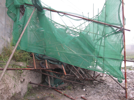 Sập dàn giáo khán đài carnaval Hạ Long, 1 người chết