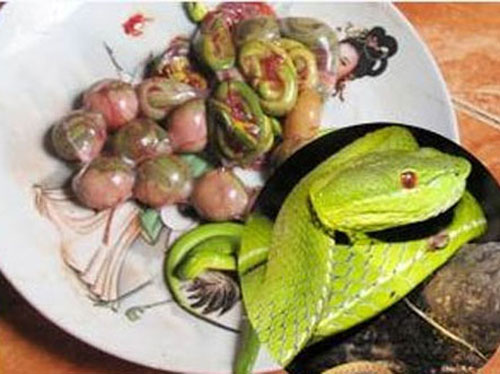 Thú săn đồ ăn độc,đắt tiền của các đại gia