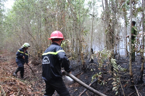 TP.HCM: Cháy lớn gần rừng phòng hộ huyện Bình Chánh