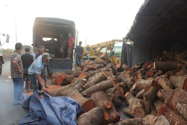 Xe tải chở gỗ lật ngang trên QL1A, giao thông hỗn loạn 