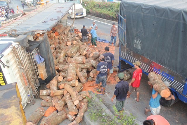 Xe tải chở gỗ lật ngang trên QL1A, giao thông hỗn loạn 