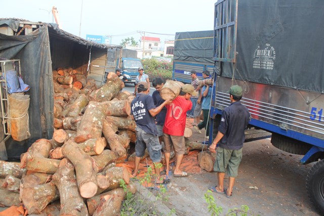 Xe tải chở gỗ lật ngang trên QL1A, giao thông hỗn loạn 