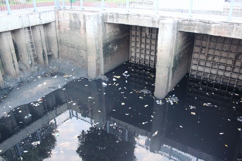 Cá chết bất thường, nổi trắng kênh Nhiêu Lộc- Thị Nghè