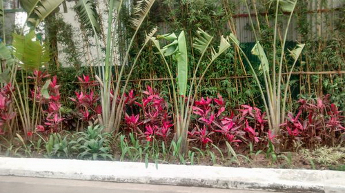 Thử khả năng chụp hình của điện thoại giá rẻ Moto G Thử khả năng chụp hình của điện thoại giá rẻ Moto G