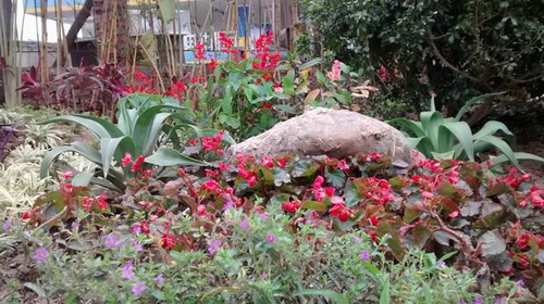 Thử khả năng chụp hình của điện thoại giá rẻ Moto G Thử khả năng chụp hình của điện thoại giá rẻ Moto G