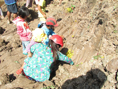 Sóc Trăng, mặt ruộng bỗng nhô cao, hàng ngàn người đến cúng bái