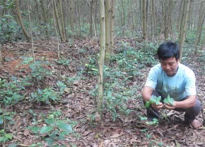 “thần y”chữa rắn độc cắn ròng rã 30 năm cứu hàng nghìn người